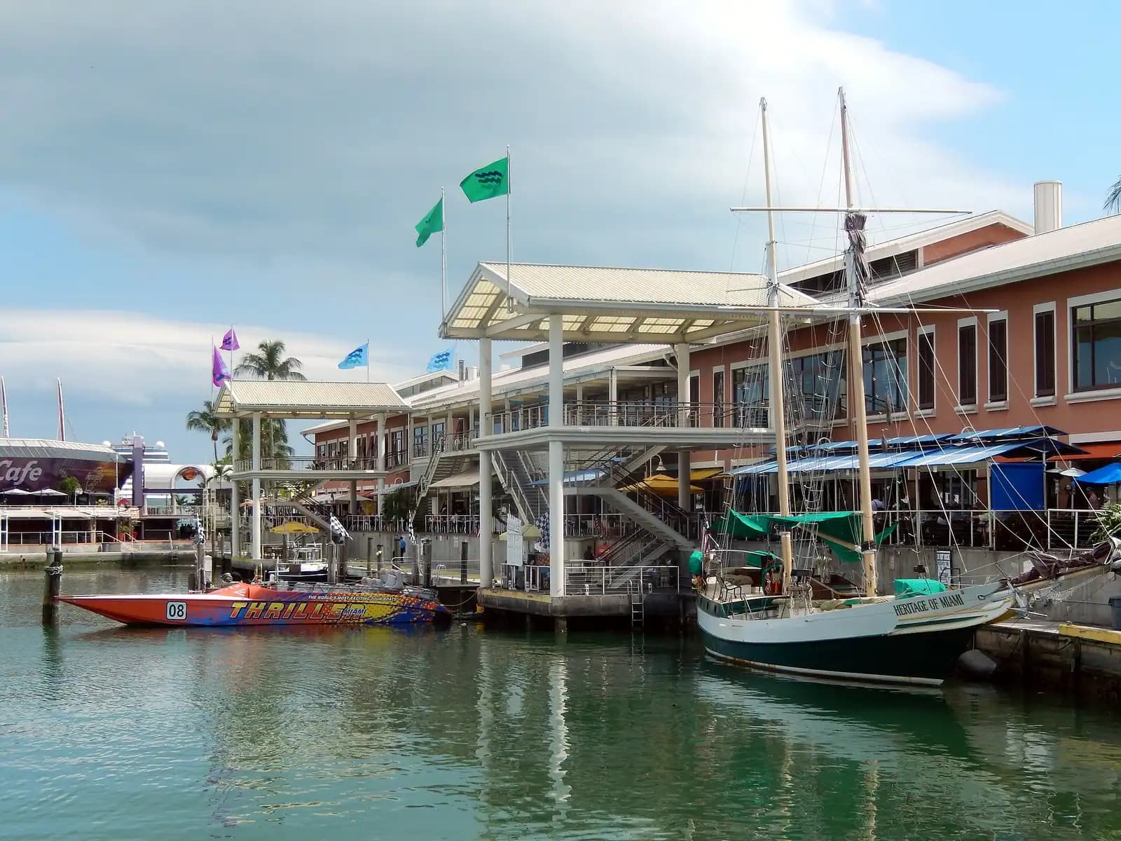 Pleasure boats moored in a downtown marina with office towers rising behind them