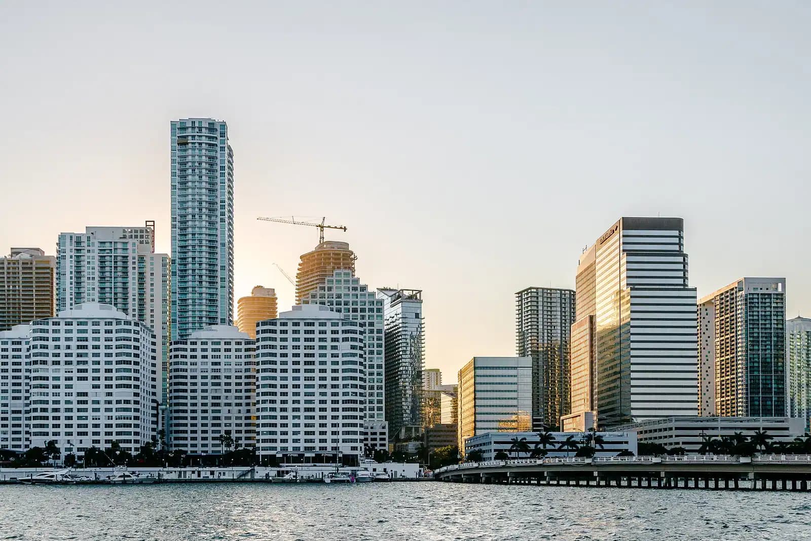 Glass residential towers rising above a tree-lined city street at dusk