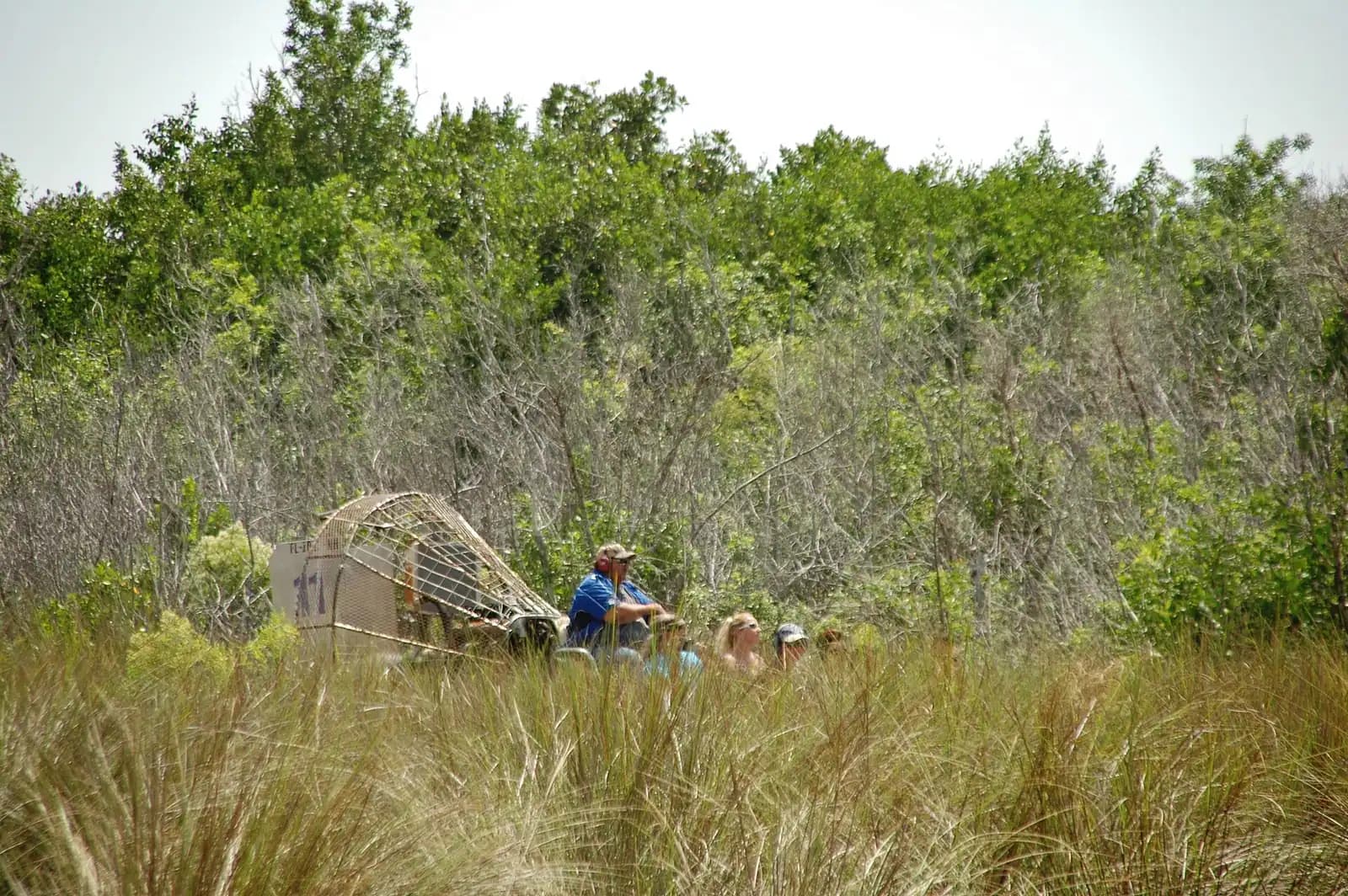 An airboat carrying passengers through tall sawgrass in the Everglades