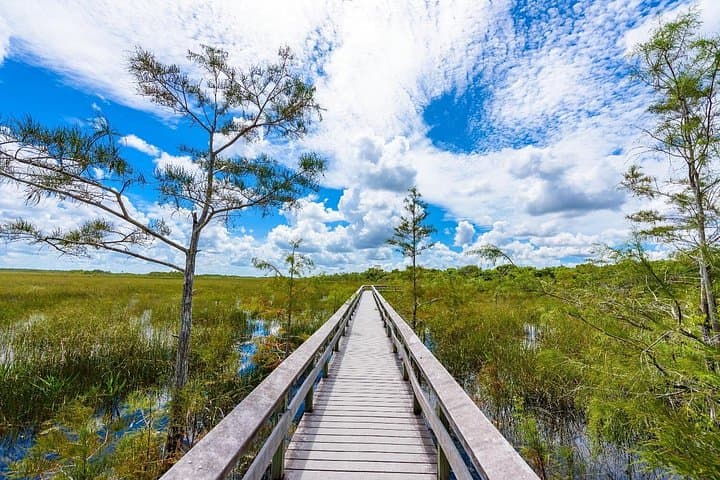 Get a birds eye view of the Everglades from this must-visit tower.