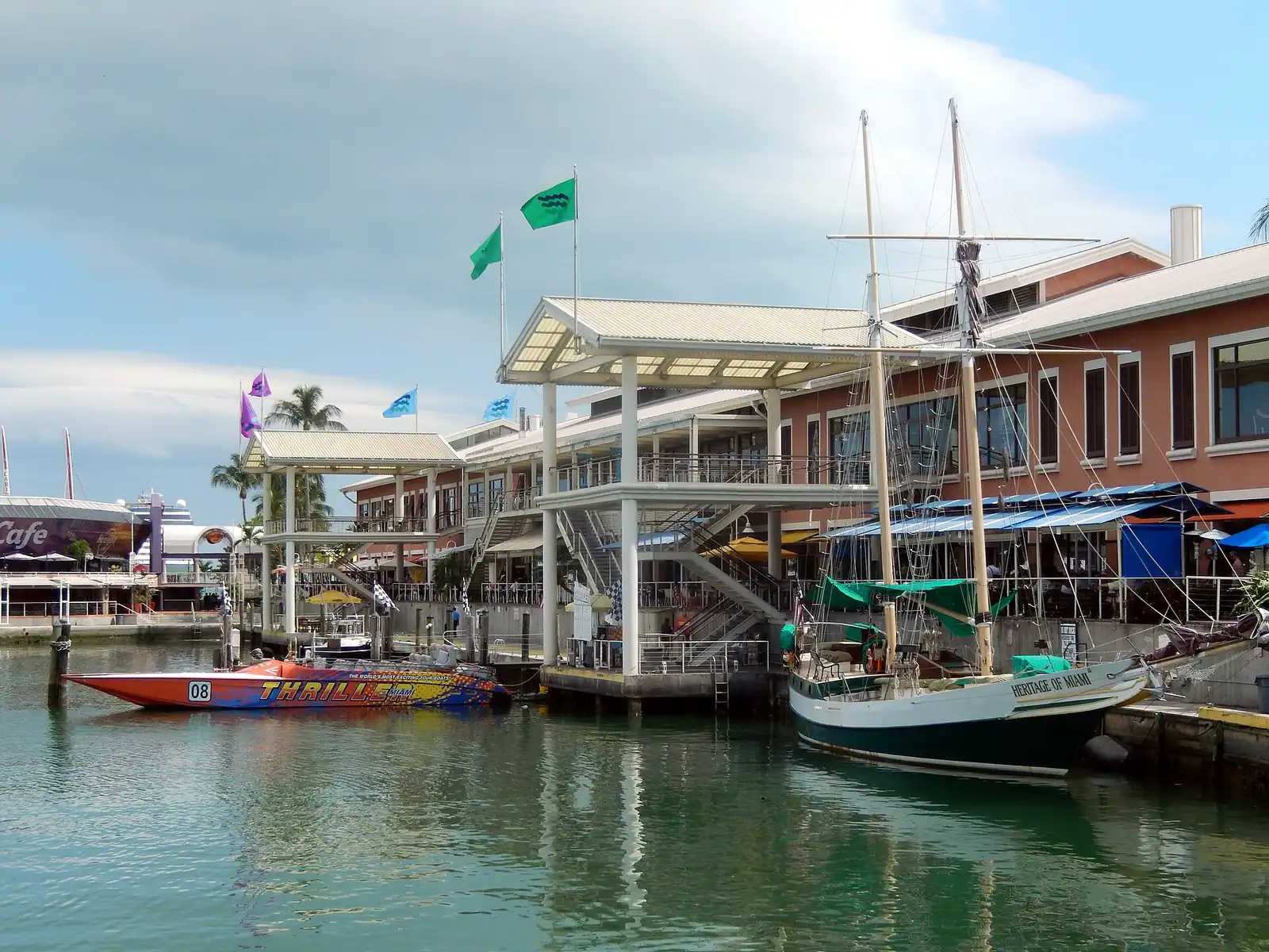Pleasure boats moored in a downtown marina with office towers rising behind them